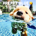 Preppy bluexx