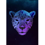 Galaxy Jaguar