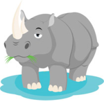 rhino brothers