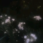 Gothic Paradise Group Thumbnail