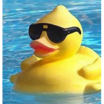 Cool duck's official group!