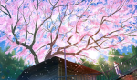 สวยสุดในซอย