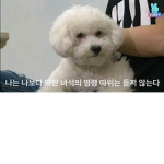 MP_그룹