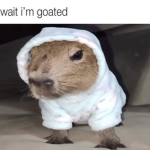 HappyFaceUgc