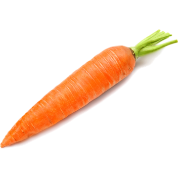 floppas invades roblox