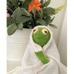 VintaqeFl0wers