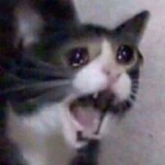 [RE:] Obelisk of Endless Difficulty Amplifying