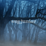 WsgJunior’s Group