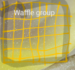 The clan of the nice waffles