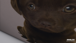 im trying to find my profile