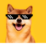 Swag Doge Empire
