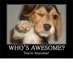 -Awesome-