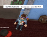 cult of pedro.exe