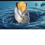 Potato3