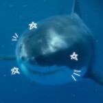  ヾ(*｡＞ω＜｡*)ノ