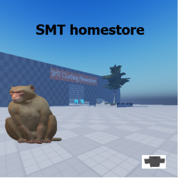 Smt Homestore