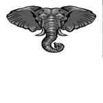 The army of elephants