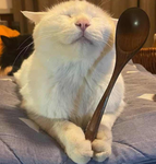 blormp