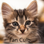 I_do stuff's fan gourp