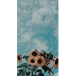Be a sunshine