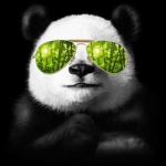 Panda Fan Group!