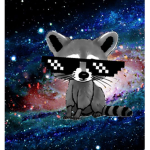 Da Awesome Raccoons