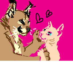 floppa and bingus hangout