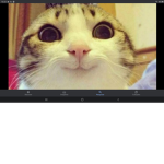 Meme Amongus Augustus