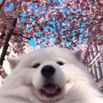 Life is happy