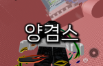 양겸스 팬 그룹