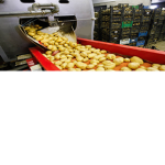 Mrpotato Potato Factory