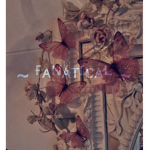 ~ ғᴀɴᴀᴛɪᴄᴀʟ ~
