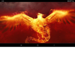 Phoenix Animations