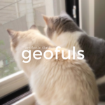 geofuls