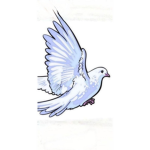 Dove's Clan Borders <3