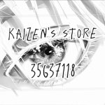 kaizen's store