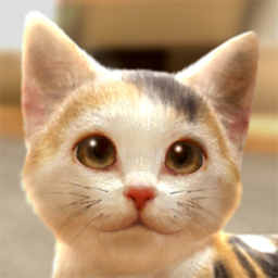 [Discontinued] Cat please