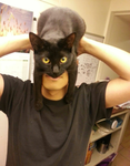 funny cat funny hat
