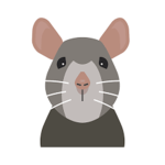The Rat Support Team