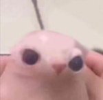 Fake things=Life