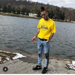 the icon