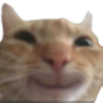 Solo Admin