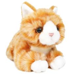 an orange tabby cats