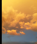Cloudy teddy bear