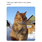 YOU ARE NOT ALONE :D
