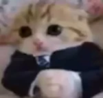 Kittyrobllx’s group