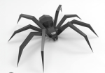 Spider on paper