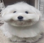 booм