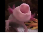 ultimate infinity group