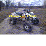 Team Dawida EGL